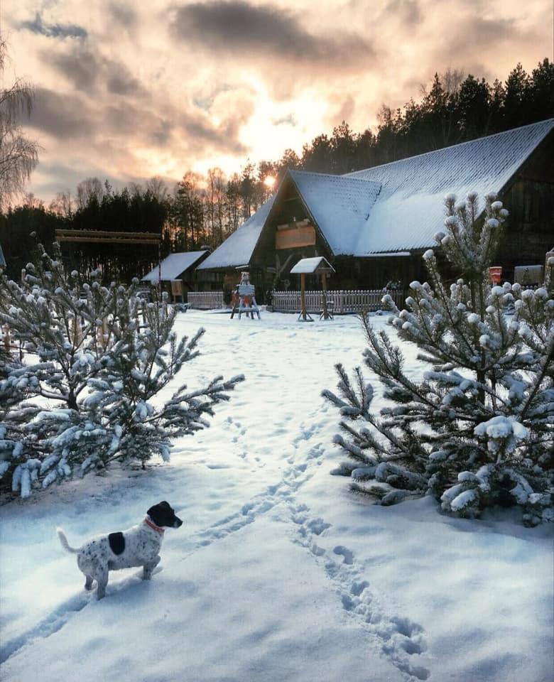 Majatek Howieny "Sielanka" Pomigacze Exterior foto